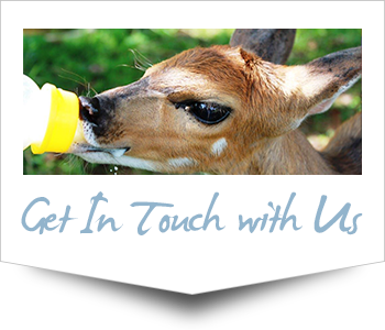 Tzaneen Accommodation Self-Catering Image